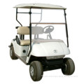 TL20201 Electric Golf Cart